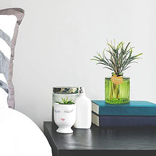 Espazion ローズマリー香り 芳香剤部屋用置き型 芳香剤玄関アロマ リードディフューザー 長持ち高級ルームフレグランス おしゃれトイレ芳香剤 1 S 2118 Siom 通販 Yahoo ショッピング