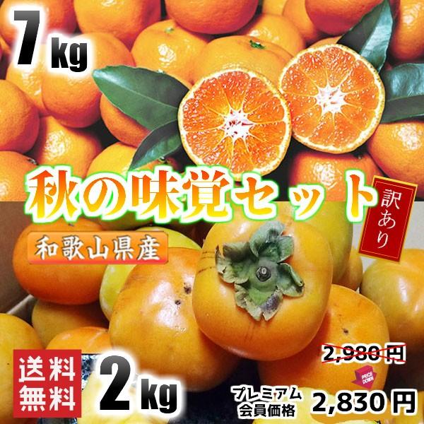 アウトレット みかん 柿 訳あり 秋の味覚セット 7kg 2kg 和歌山県産 送料無料(北海道、沖縄県、東北地方除く) 毎日好評発送中 ミカン みかん  蜜柑 種なし柿 ご自宅用