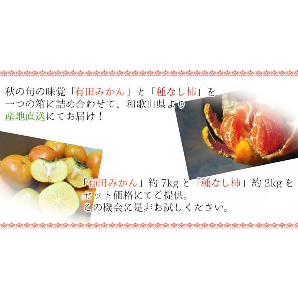 訳あり たねなし柿  約2kg  和歌山県産 柿