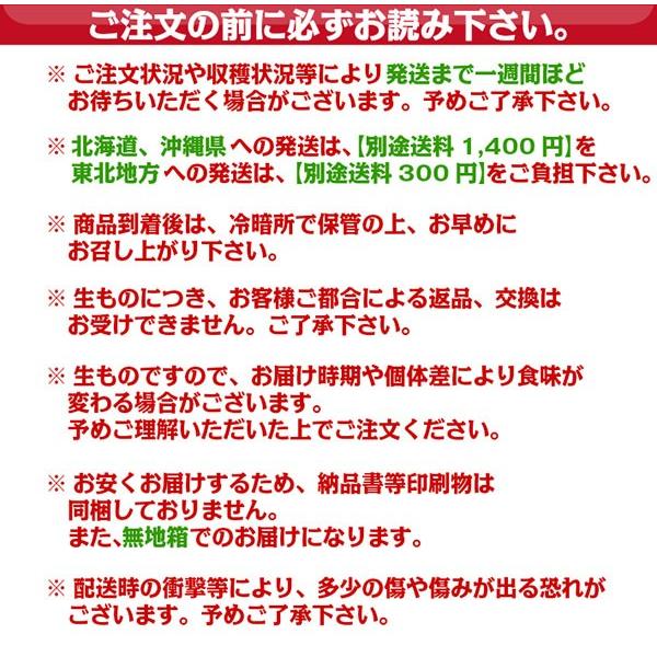 新たまねぎ 20kg L・LLサイズ 和歌山県産 秀品 送料無料！(北海道、沖縄県、東北地方除く) 玉ねぎ 玉葱 大玉｜siosaiy｜04