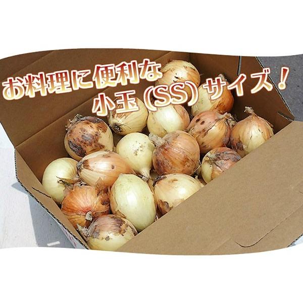 たまねぎ 和歌山県産 10kg SSサイズ 秀品 送料無料(北海道、沖縄県除く) 玉ねぎ 玉葱 小玉｜siosaiy｜02