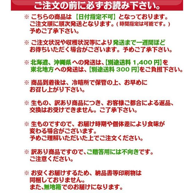 みかん 有田みかん 訳あり 10kg 通常販売開始　和歌山県産 送料無料(北海道、沖縄県、東北地方除く) ミカン みかん 蜜柑 温州みかん ご自宅用 家庭用 産地直送｜siosaiy｜06