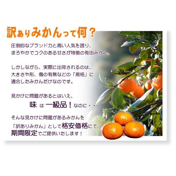 有田みかん 訳あり 2.5kg 和歌山県産 送料無料(北海道、沖縄県、東北地方除く) ミカン みかん 蜜柑 温州みかん ご自宅用 家庭用 柑橘 産地直送｜siosaiy｜04