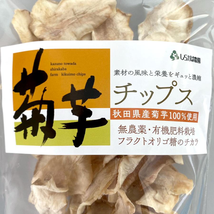 菊芋チップス 商店 予約販売品 ５袋 80g×５袋 送料込
