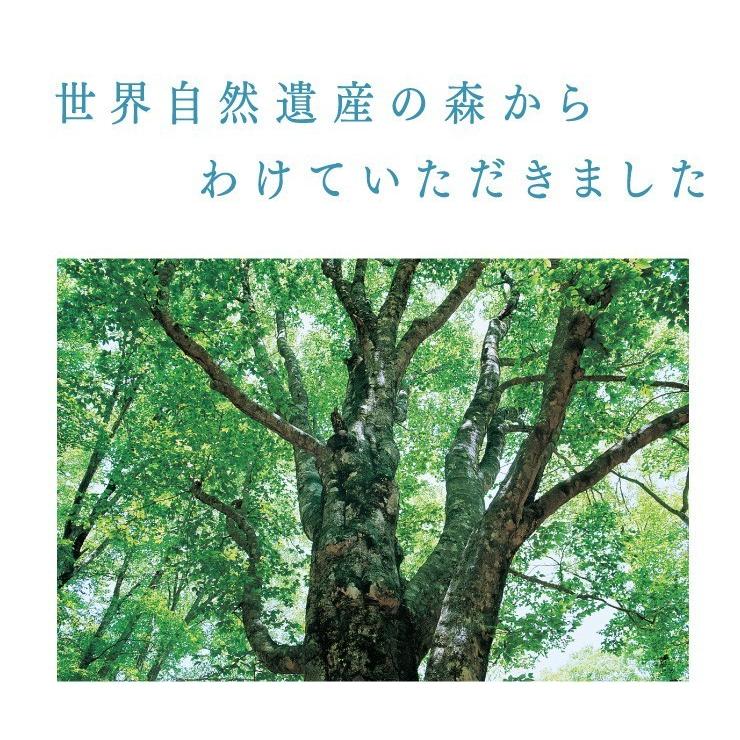 【白神屋／送料無料】白神山水 2L×9本 秋田 能代 世界自然遺産 白神山地 非加熱天然水 軟水 鉱泉水 産地直送 お取り寄せ ［常温］｜sirakamiya｜03