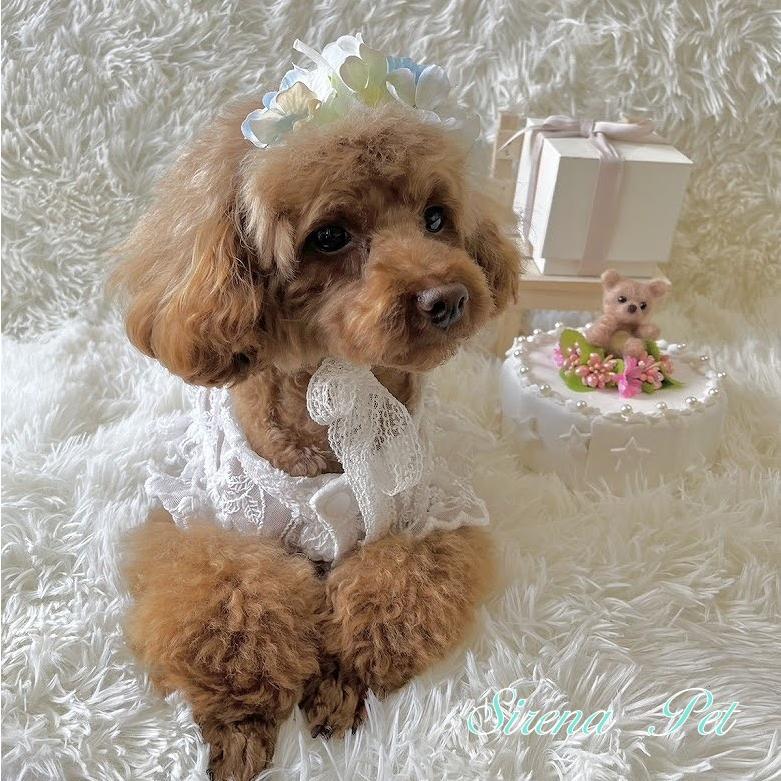 ペット オリジナルヘッドドレス オーダー制作 撮影小物