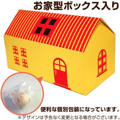 バスケットボール わたろん 5個セット お家ボックス入り 洋菓子 そっくり おもしろ かわいい 子供 お取り寄せ インスタ映え 結婚内祝い お返し 可愛い ギフト|siriaru|02