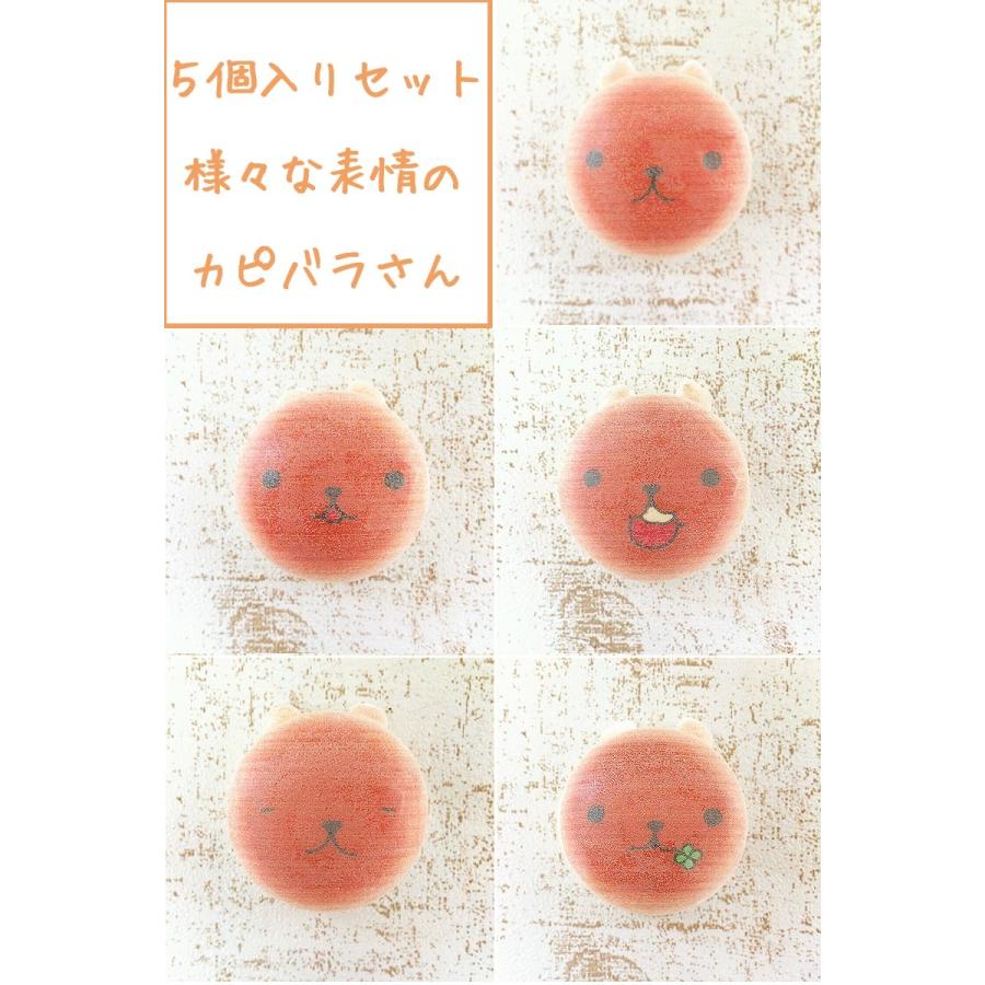 送料無料 カピバラさん わたろん 5個セット Aタイプ マカロン イベント バンダイ キャラクター ギフト洋菓子 そっくり おもしろ かわいい 子供 お取り寄せ Kapibara A 1 シリアルマミーヤフーショップ 通販 Yahoo ショッピング
