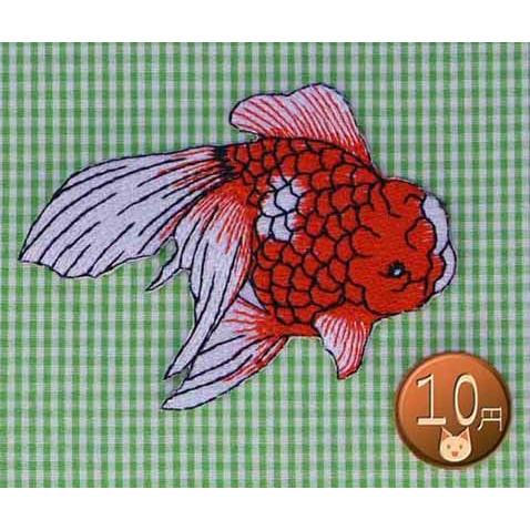 アイロンワッペン/刺繍/アップリケ/金魚/オランダ獅子頭/橙色/魚