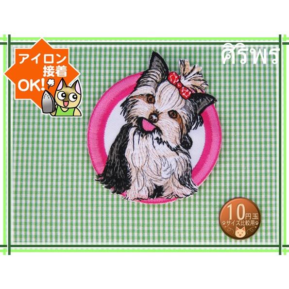 アイロンワッペン/刺繍/アップリケ/ヨークシャーテリア/動物/ヨーキー