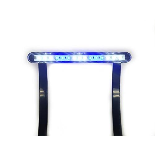 New限定品 テトラ Tetra リビングキューブ オールインワン水槽 淡水 海水用 容量 約l 期間限定送料無料 Www Fiscaliaguerrero Gob Mx