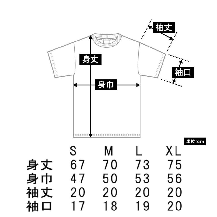 ポケモンＧＯ　Ｔシャツ　レイドバトル２　カットソー　半袖｜siroitshirtsyasan｜02