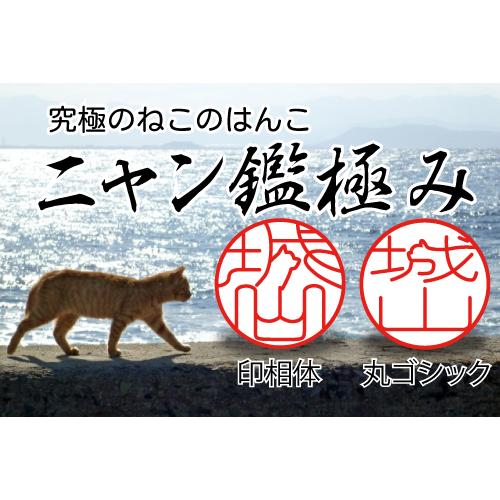 ニャン鑑極み 印鑑 はんこ 猫 猫のハンコ 猫の印鑑 作成 オーダー 可愛い 本柘植 13.5ミリ 認印 銀行印 実印