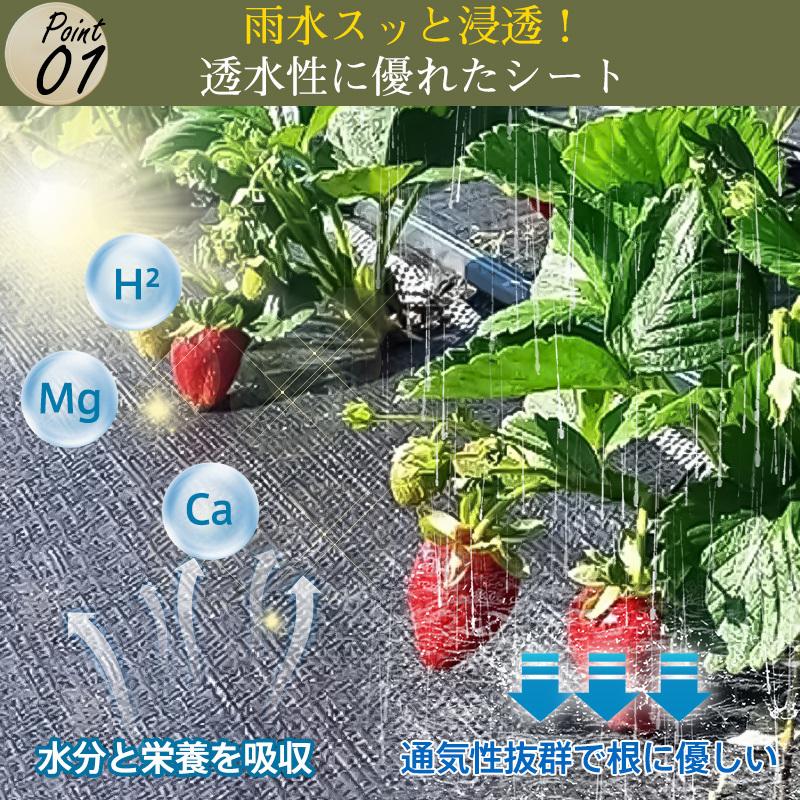 防草シート 不織布 厚手 高耐久 高透水 UV 1m×50m 緑 雑草防止
