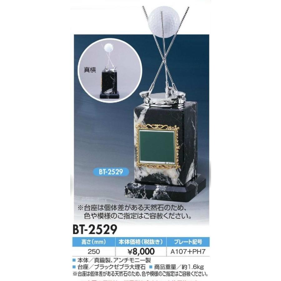 1848円 77 以上節約 ホールインワン記念bt 2529 クーポン利用で更にお得に