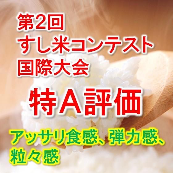 ハツシモ 令和6年産 特別栽培米 岐阜県産 白米2Kg 【送料無料