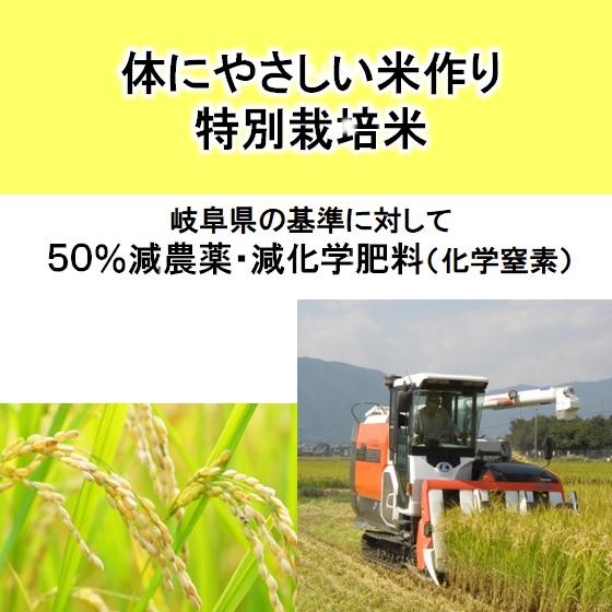 ハツシモ 令和6年産 特別栽培米 岐阜県産 玄米10Kg(レビューで ハツシモ 令和6年産 特別栽培米 岐阜県産 玄米10Kg(レビューで