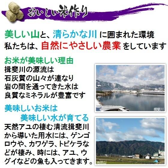 ハツシモ 【リピータ専用】令和6年産 特別栽培米 岐阜県産 玄米 ハツシモ 【リピータ専用】令和6年産 特別栽培米 岐阜県産 玄米