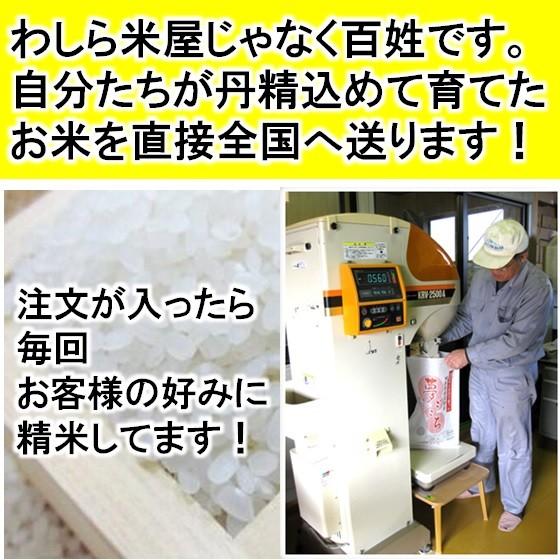 令和５年産 特別栽培米 岐阜県産 ハツシモ 玄米５Kg（レビューで増量） 【送料無料】北海道・沖縄・離島は追加送料｜sirotori-f｜04