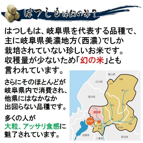ハツシモ 令和7年産 お米 特別栽培米 岐阜県産 玄米5Kg（レビューで