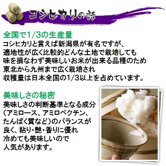 コシヒカリ 令和7年産 お米 特別栽培米 岐阜県産 玄米10Kg（レビュー 