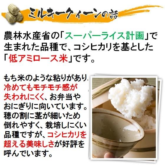 ミルキークイーン 令和6年産 特別栽培米 岐阜県産 白米5Kg(分 ミルキークイーン 令和6年産 特別栽培米 岐阜県産 白米5Kg(分