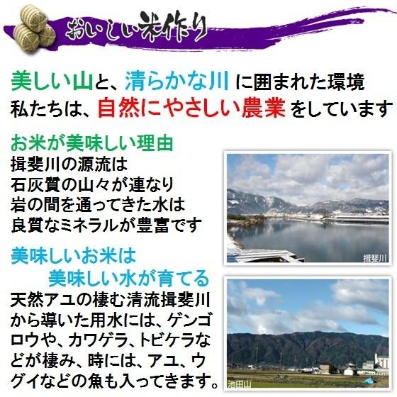 【減農薬】岐阜県産　食べ比べセットＣ　（ハツシモ・コシヒカリ・ミルキークイーン）【送料無料】北海道/沖縄/離島は除く｜sirotori-f｜03