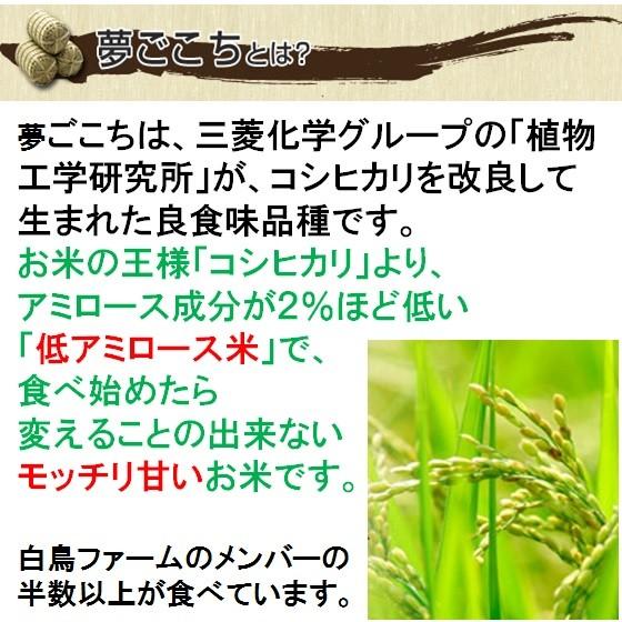 令和７年産 お米 特別栽培米 岐阜県産 夢ごこち 玄米20Kg（10kg×2）精米サービス 【送料無料】北海道 沖縄 離島は追加送料_4