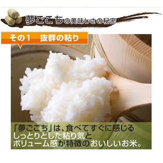 令和７年産 お米 特別栽培米 岐阜県産 夢ごこち 玄米20Kg（10kg×2）精米サービス 【送料無料】北海道 沖縄 離島は追加送料_5