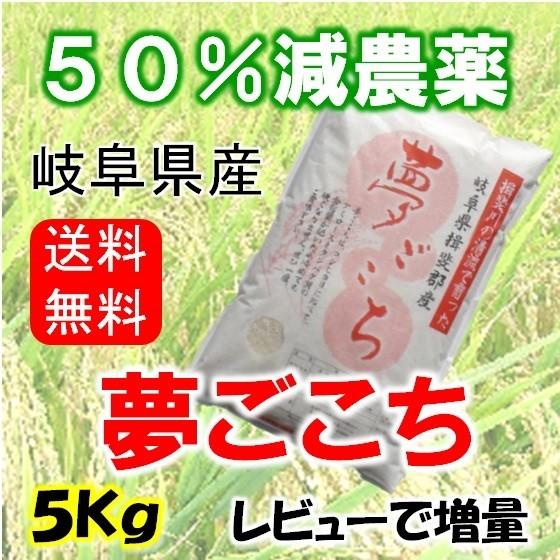 令和５年産【特別栽培米】岐阜県産 夢ごこち 玄米5Kg【送料無料】北海道 沖縄 離島は追加送料｜sirotori-f