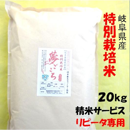 令和５年産岐阜県産 夢ごこち 玄米20Kg（10kg×2）分ツキ可北海道 沖縄 離島は追加送料