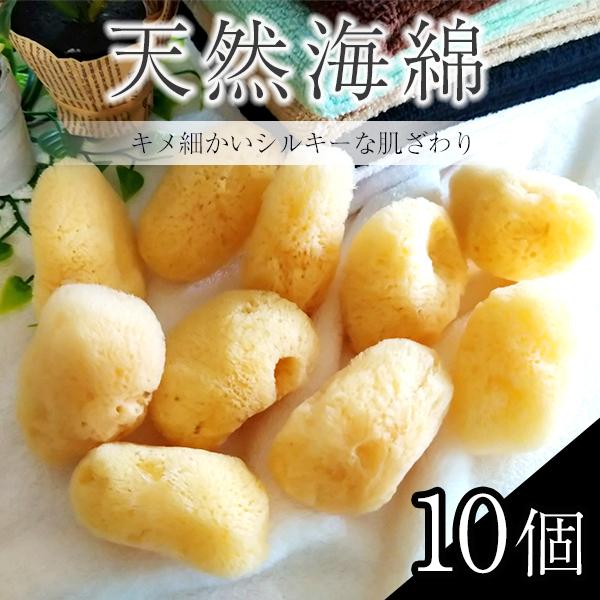 海綿 個包装 ジップロック袋付き HOKUTO 天然 海綿  吸収 スポンジ 女性用 10個入り の商品画像