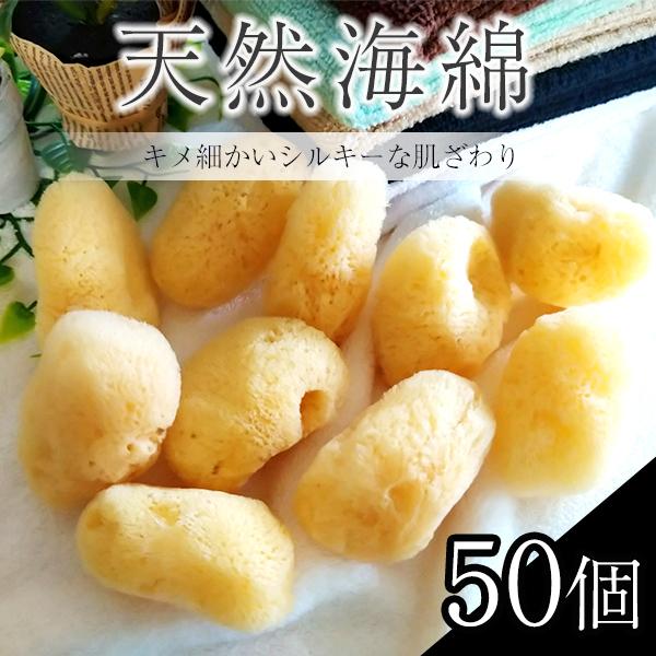 海綿 個包装 ジップロック袋付き  HOKUTO 天然 海綿 吸収 スポンジ 50個入り まとめ買い の商品画像