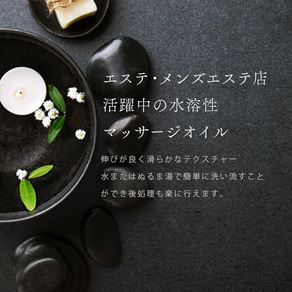 業務用 エステ ボディオイル Platinum プラチナム 水溶性マッサージオイル 無香料 (5kg) 日本製 無香料 メンズ エステ サロン |  | 03