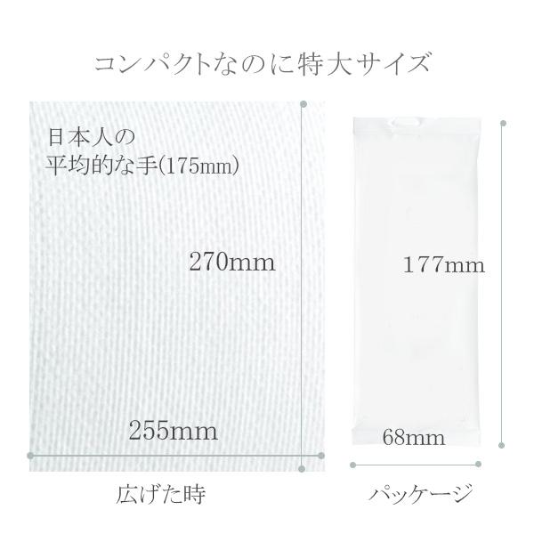 おしぼり アロマ 使い捨て アロマプレミアム 業務用 日本製 厚手 高級 大判 香り タオル VB  抗菌 防臭 シトラール ペパーミント ラベンダー 100枚セット | FSX | 15