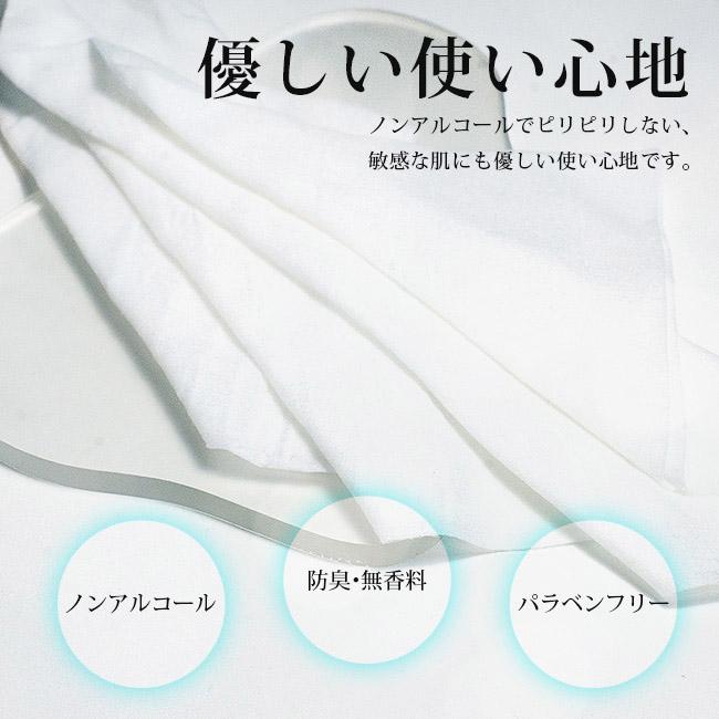 ハンドタオル ボディタオル 使い捨て 紙おしぼり VBケア ウエットタオル 抗ウイルス 抗菌 防臭 Body Towel B60 300本入り 透明 クリア 個包装_2