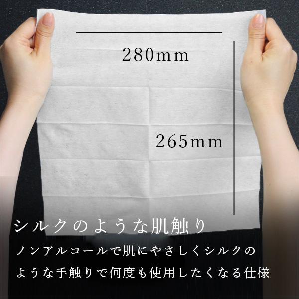 おしぼり 使い捨て 厚手 高級 大判 業務用 シルキー SILKY Lサイズ VB 抗ウイルス 抗菌 防臭 900枚入り 個包装 平型の画像