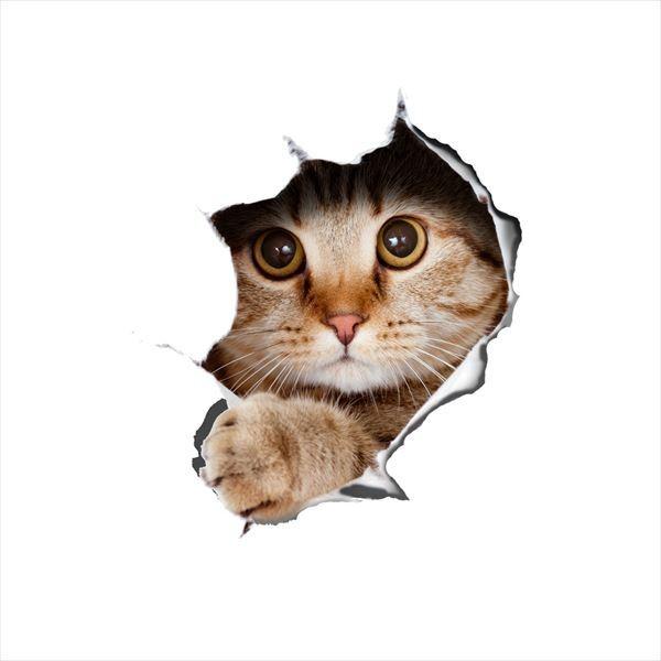 マウス パッド シール トリックアート シリーズ トリック猫 3d オーダーメイド 壁紙 賃貸 装飾 ウォールデコ 送料無料 はがせる 壁紙シール 防水 B シルキー 通販 Yahoo ショッピング