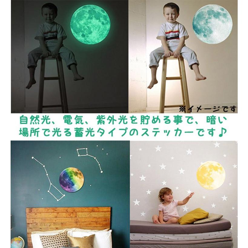 オーダーサイズ ウォールステッカー ウォールステッカー ノルディックポピー ws-897 花 フラワー 壁 シール