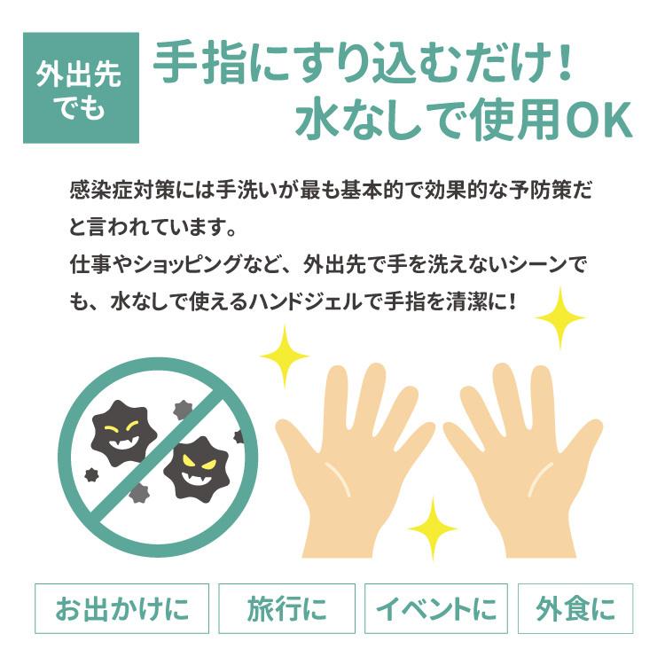 在庫あり 即納 ハンドジェル 薬用 指定医薬部外品 1本80mL 対策 除菌