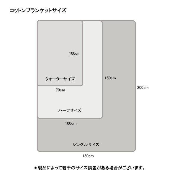 ブランケット コットン ブランケットバイヤスグラフチェック