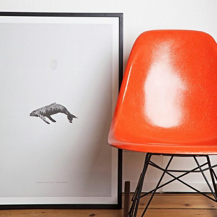 PAPER COLLECTIVE WHALE REPRISE ポスター ポスターWHALE REPRISE ポスター 50cm×70cm / PAPER COLLECTIVE