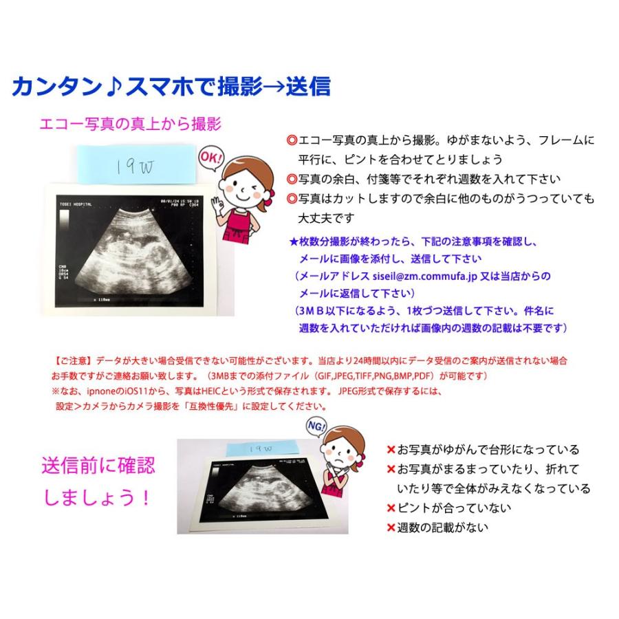 超音波写真アルバム プリンセス バリュー 赤ちゃんのエコー写真プリントサービス 女の子 Princess Value シセイル ヤフー店 通販 Yahoo ショッピング