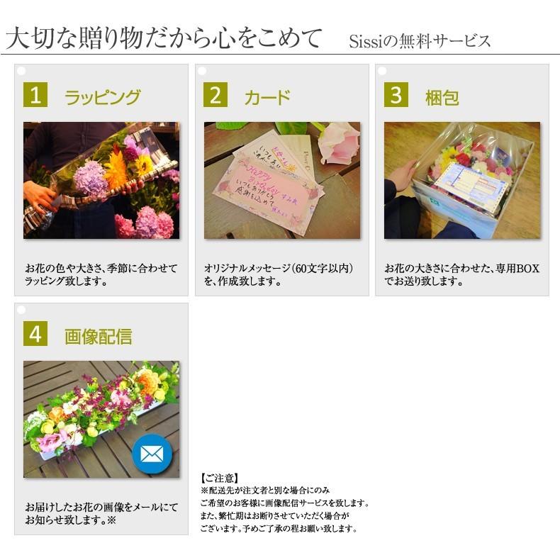 ラウンドブーケM お祝い 誕生日 花 フラワー ギフト プレゼント 母の日 敬老の日 開店祝い おしゃれ 可愛い 送料無料|sissi|09
