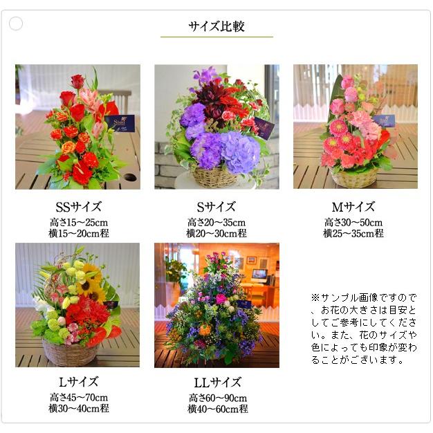 スタンダートアレンジメントMお祝い 誕生日 花 フラワー ギフト プレゼント 母の日 敬老の日 開店祝い おしゃれ 可愛い  送料無料の画像