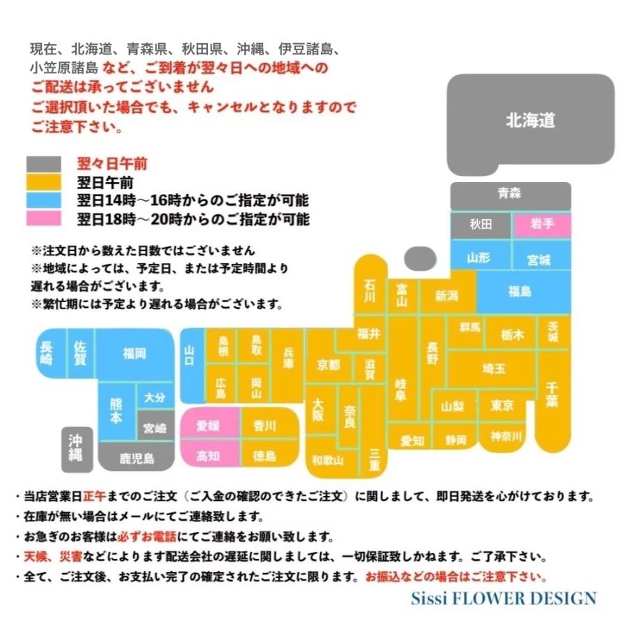 スタンダートアレンジメントMお祝い 誕生日 花 フラワー ギフト プレゼント 母の日 敬老の日 開店祝い おしゃれ 可愛い  送料無料の画像
