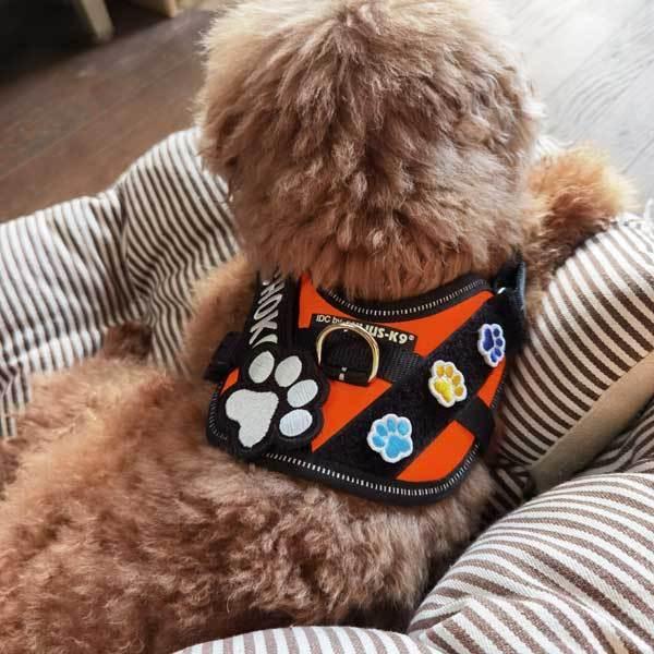 obelisik 羽根刺繍 ベルベットジャケット M ZIGGY CHEN 24-25AW ベルベットボンバージャケットスタイリング