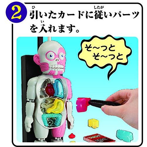 放課後の怪談シリーズ 恐怖!ドキドキクラッシュ ゾクッ人体模型