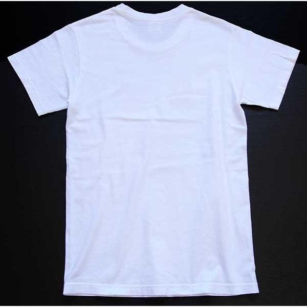 patagonia（パタゴニア） 90s USA製 Beneficial T's 金魚 アート