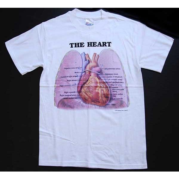 Hanes デッドストック☆90s Anatomical Chart Co. THE HEART Hanes デッドストック☆90s Anatomical Chart Co. THE HEART